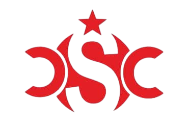 C-Success Consulting Logo